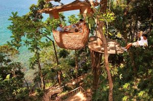 Read more about the article Feast Among the Trees at Dining Pod in Thailand