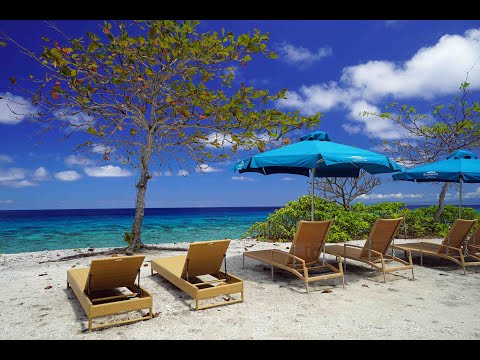 You are currently viewing Bluewater Sumilon Island Resort