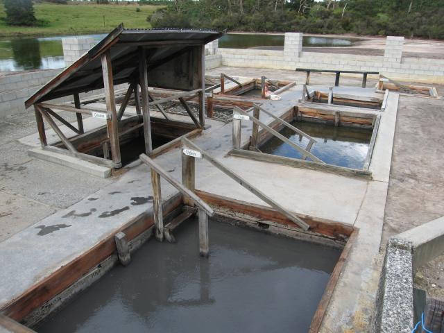 You are currently viewing Relax at the Natural Hot Pools at Ngawha Springs in New Zealand