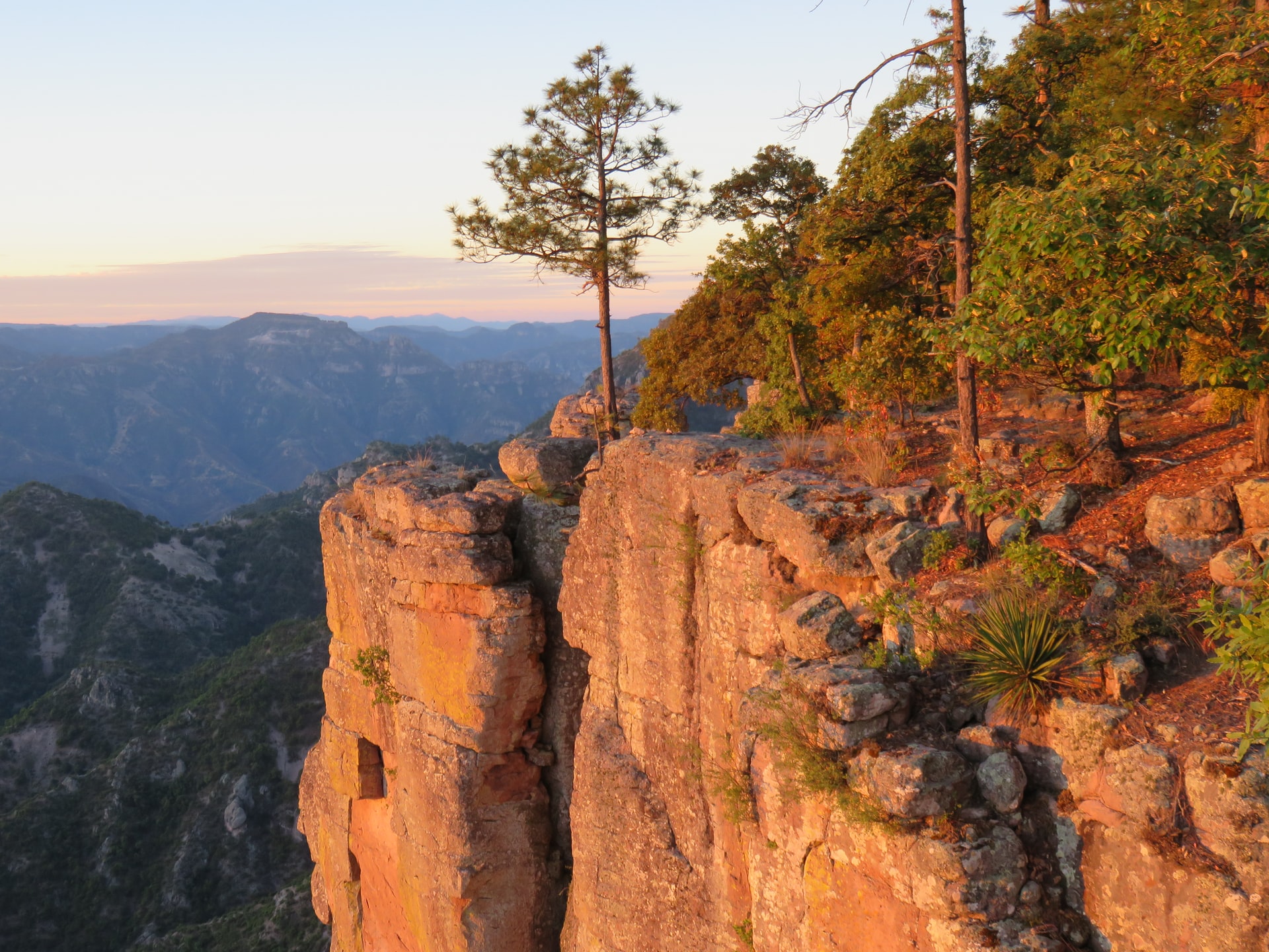 You are currently viewing Taking the Copper Canyon Train in Mexico