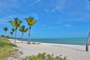 Read more about the article The Best Beaches in Key West