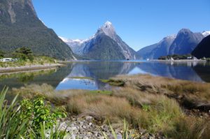 Read more about the article Milford Sound Day Trip: The Queenstown Conundrum