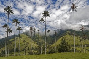 Read more about the article Top Places to Visit in Colombia