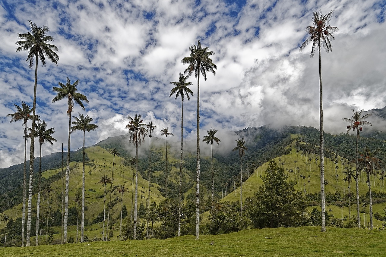 You are currently viewing Top Places to Visit in Colombia