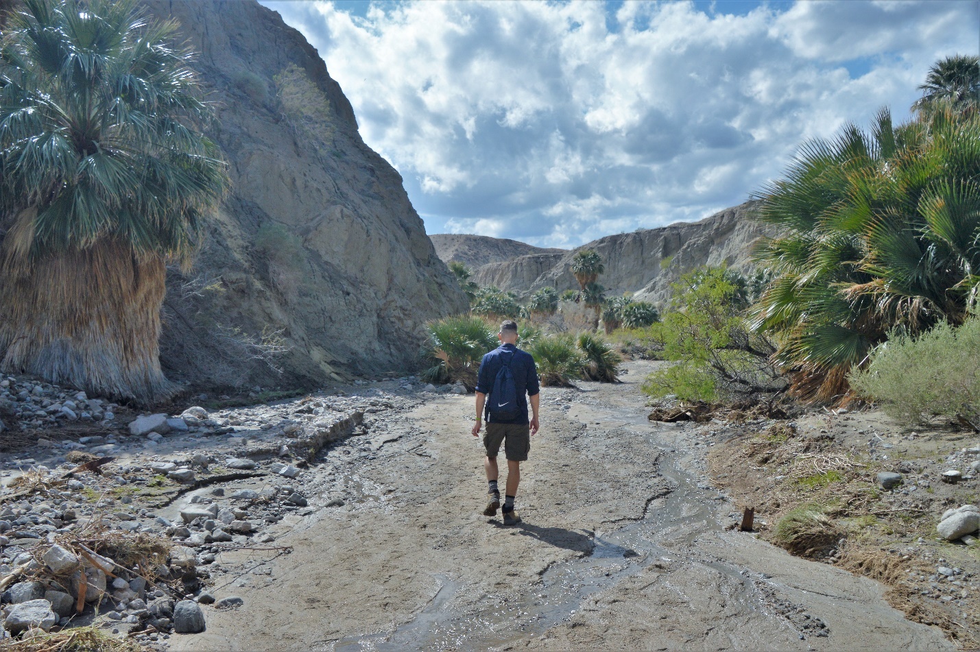 You are currently viewing Hiking Along the San Andreas Fault in Southern California