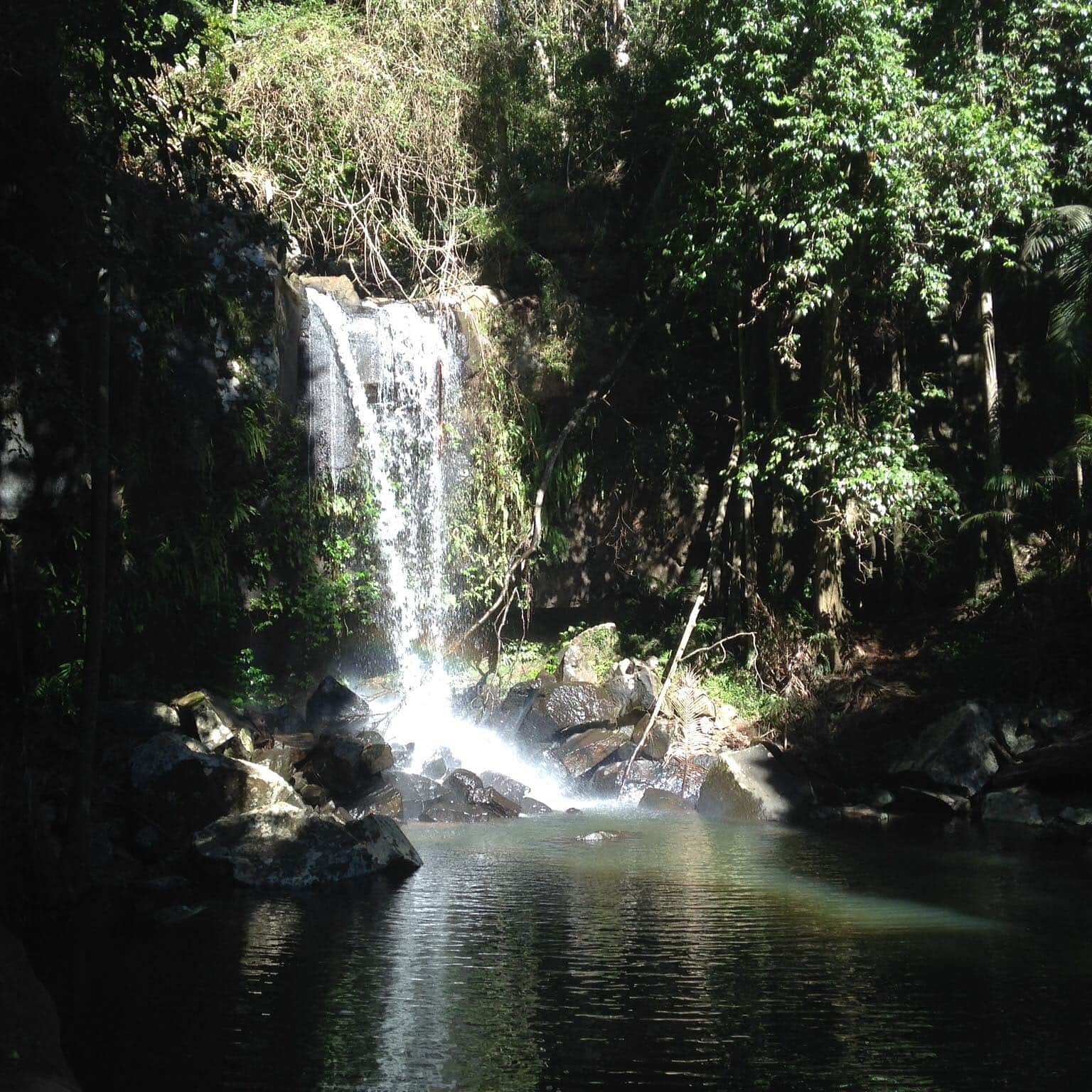 You are currently viewing Must Do’s Just Outside The Gold Coast