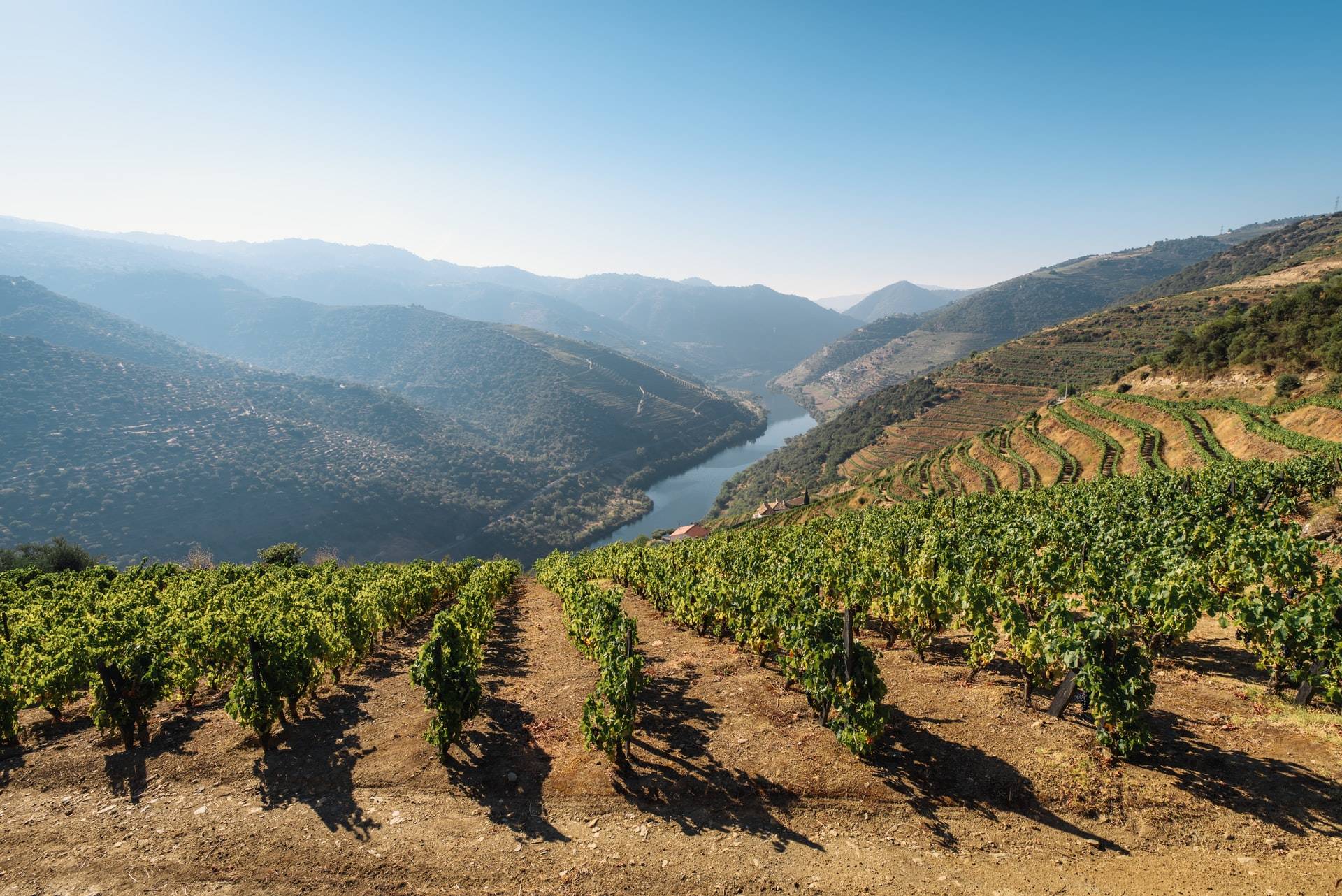 You are currently viewing Visiting the Douro Wine Valley in Northern Portugal