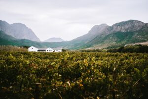 Read more about the article Reasons to Add the Franschhoek Wine Region to Your Cape Town Itinerary