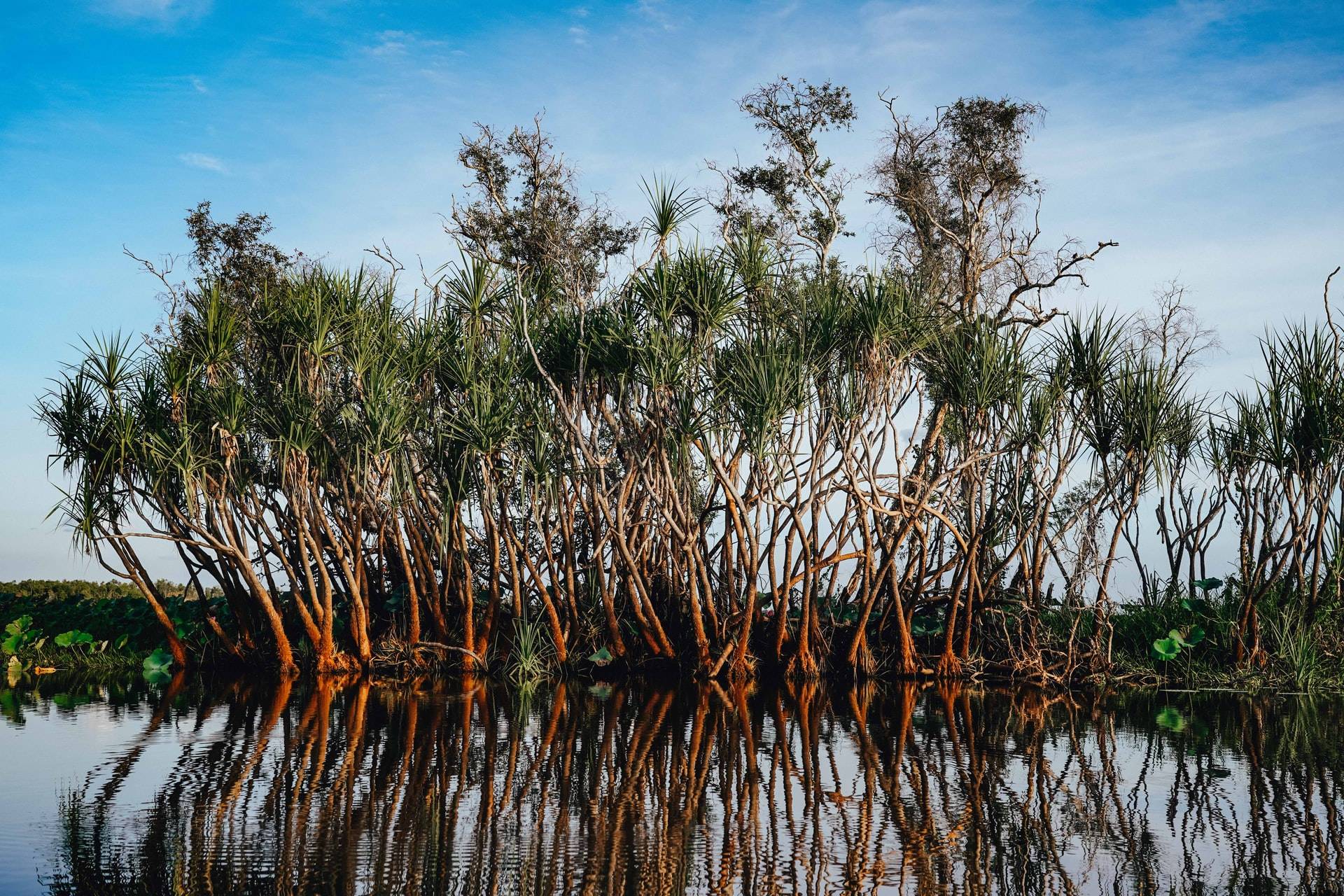 You are currently viewing Recommended Day Trips from Darwin