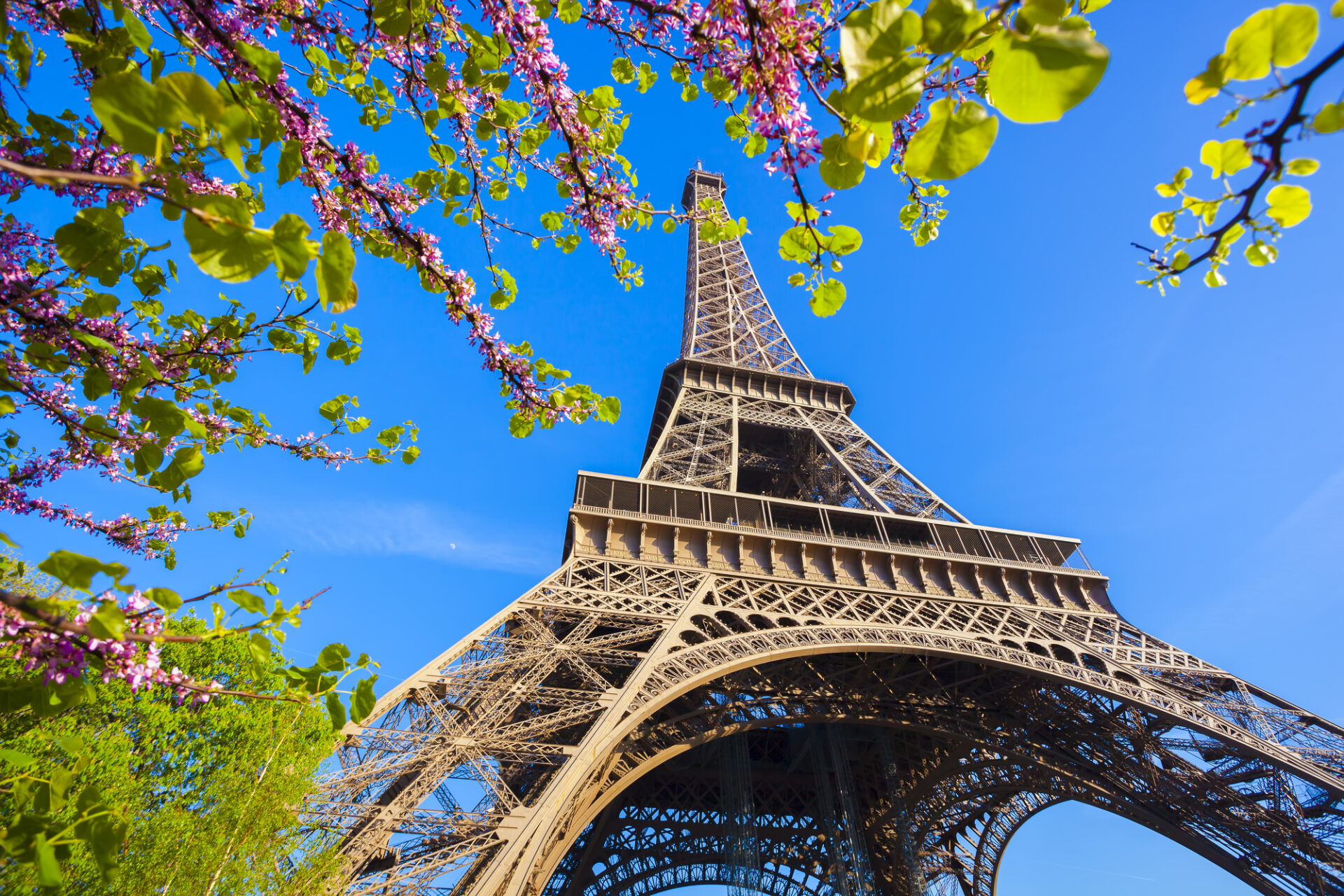 You are currently viewing A Guide to Visiting Paris in the Spring