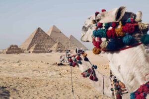 Read more about the article A Guide to Planning a Memorable Trip to Egypt