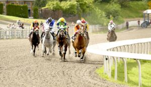 Read more about the article Racetracks and Gambling Options in Canada for Tourists